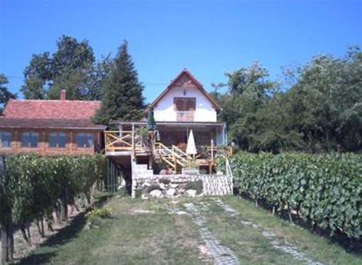 фото отеля Pension Family Fabsits
