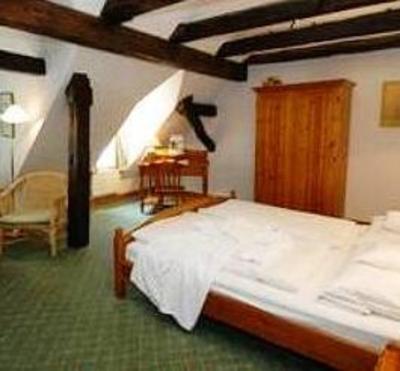 фото отеля Hotel Goldener Lowe Zeulenroda
