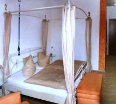 фото отеля Hotel Goldener Lowe Zeulenroda
