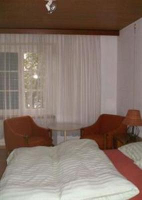 фото отеля Albergo Camelia Brissago