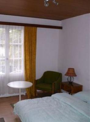 фото отеля Albergo Camelia Brissago
