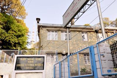 фото отеля Kasauli Resort