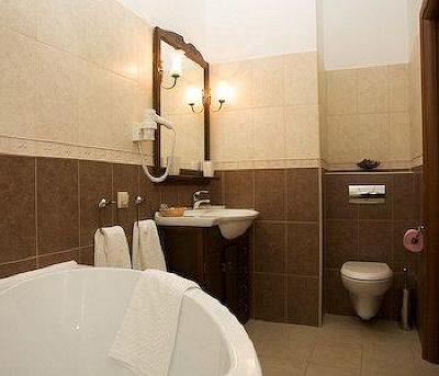 фото отеля Atlanta Sheremetyevo Hotel