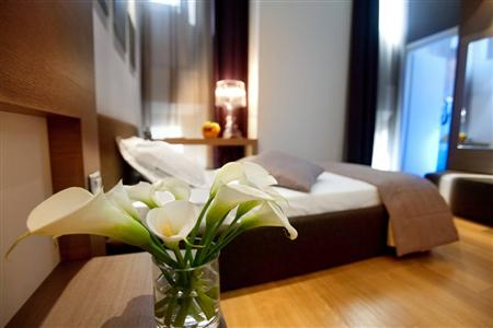 фото отеля Hotel Michelangelo Forli