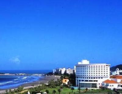фото отеля Aoshima Palm Beach Hotel