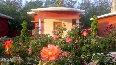 фото отеля Shri Krishna Jungle Resort