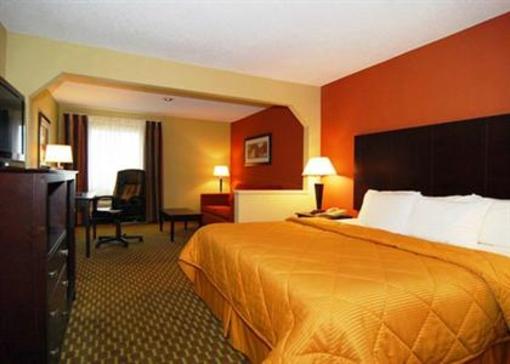 фото отеля Comfort Inn Pine Bluff