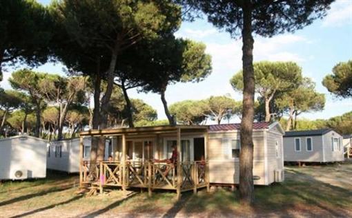 фото отеля Pineta Sul Mare Camping Village