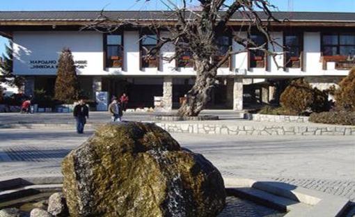 фото отеля Hotel Dumanov Bansko