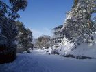фото отеля Cedarwood Apartments