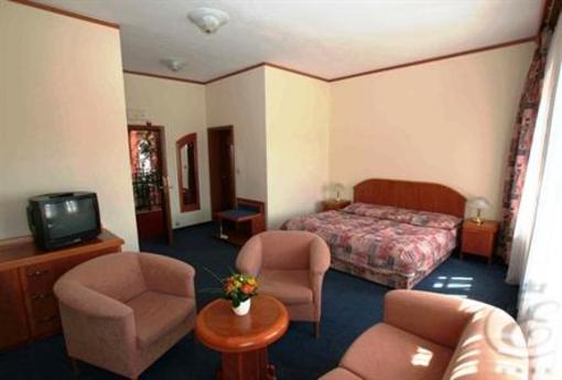 фото отеля Hotel U Kralovny Elisky