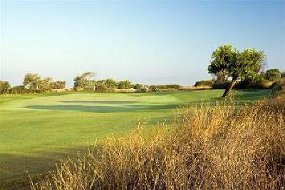 фото отеля Donnafugata Golf Resort & Spa