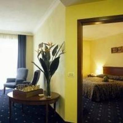 фото отеля Park Hotel Affi
