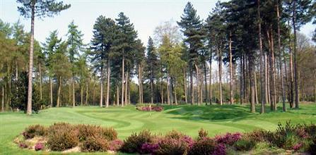 фото отеля Forest Pines Golf & Spa Hotel Brigg