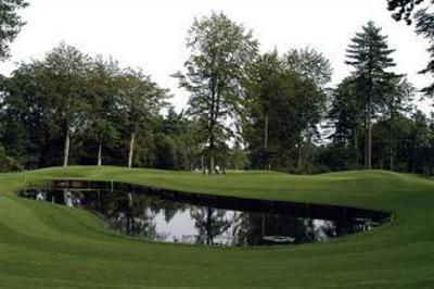 фото отеля Forest Pines Golf & Spa Hotel Brigg