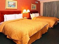 Wingate by Wyndham Linthicum / BWI Airport