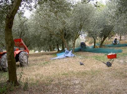 фото отеля Agriturismo Casale Delle Lucrezie
