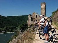 Historisches Weinhotel Zum Grunen kranz
