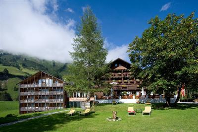 фото отеля Hotel Widderstein