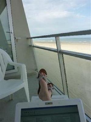 фото отеля Ibis Le Touquet Thalassa Hotel