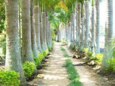 фото отеля Cauvery Sannidhi Resort