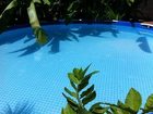 фото отеля Casa del Mango by Emblema Hotels