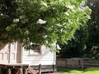 фото отеля Burn Cottage Retreat