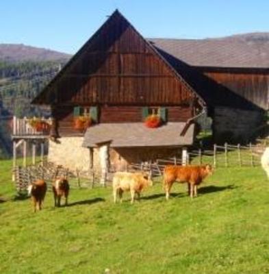 фото отеля Dieschger Brentl Hutte
