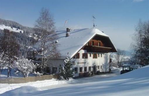 фото отеля Hotel Gailerhof