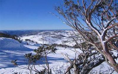 фото отеля Aalberg Chalet Jindabyne