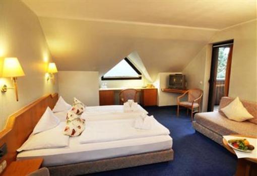 фото отеля Panoramahotel Heimbuchenthal