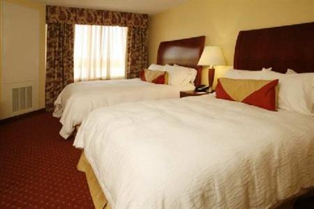 фото отеля Hilton Garden Inn Indianapolis Northeast/Fishers