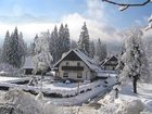 фото отеля Apartments Alp Bohinj