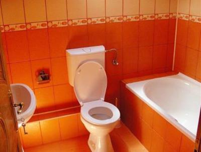 фото отеля Pension Aquaris Sighisoara