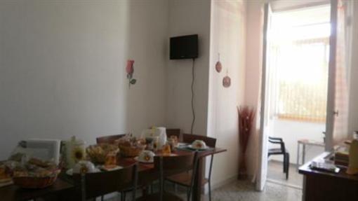 фото отеля The Sunflower B&B Pisa