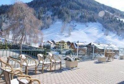 фото отеля Hotel Vitaler Landauerhof