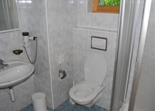 фото отеля Hotel Collina Scuol