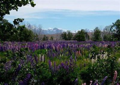 фото отеля Lakeview Tekapo