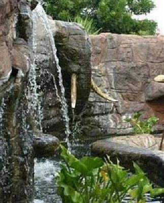 фото отеля Cosmos Cuisine Guesthouse Addo