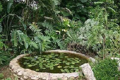фото отеля Cosmos Cuisine Guesthouse Addo