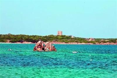 фото отеля Camping Baia Blu La Tortuga