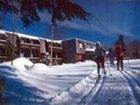 фото отеля Grey Bonnet Inn