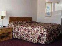Willow Tree Inn