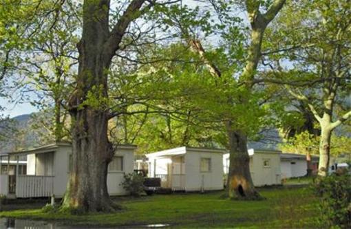фото отеля Te Aroha Holiday Park and Backpackers