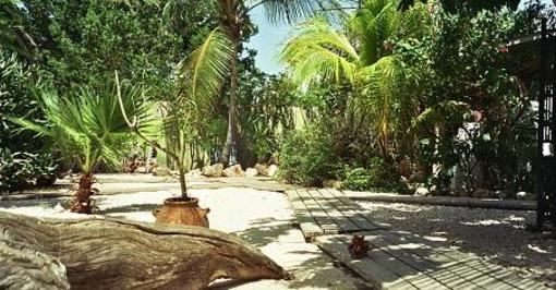 фото отеля Beach House Aruba