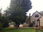 фото отеля Bonningtons Bed & Breakfast Little Hallingbury