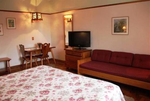 фото отеля Hotel Toriba