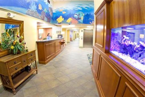фото отеля Holiday Inn Express Orange Beach-On The Beach