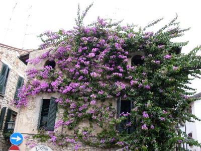 фото отеля Hotel Pace Sirmione