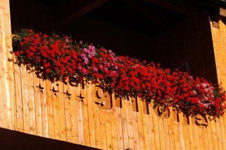 фото отеля Grifone Hotel Pinzolo